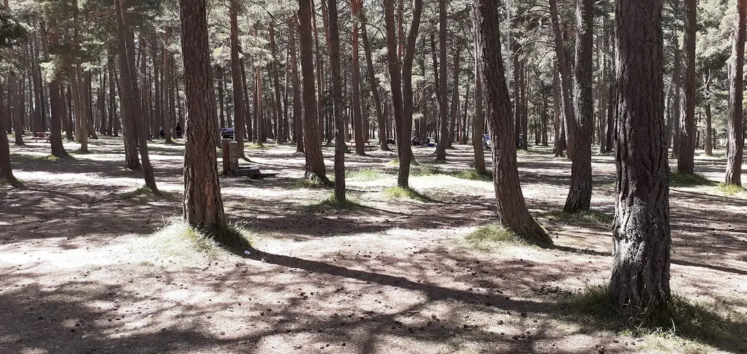 Kastamonu Kadıdağı Yeşil Kampı — Kastamonu — küçük resim 3
