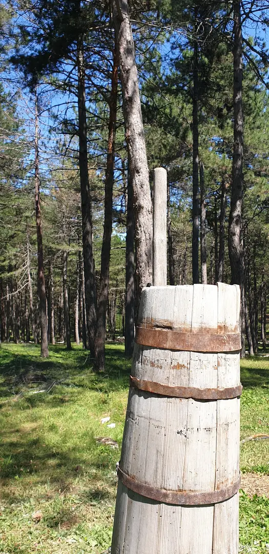 Open Maslak Recreation Area — Kastamonu — küçük resim 7