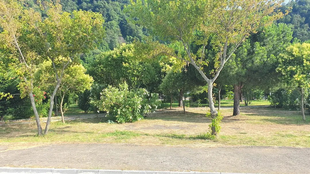 Hamdinin Yeri Camping — Kastamonu — küçük resim 6