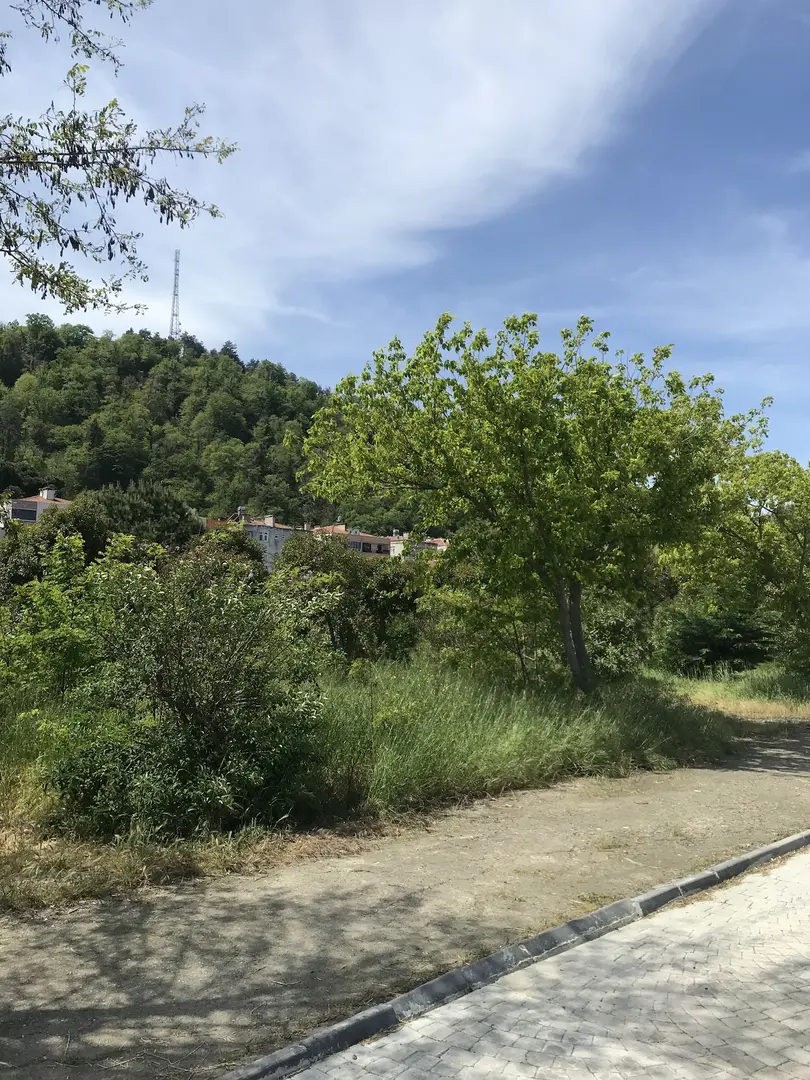 Hamdinin Yeri Camping — Kastamonu — küçük resim 5
