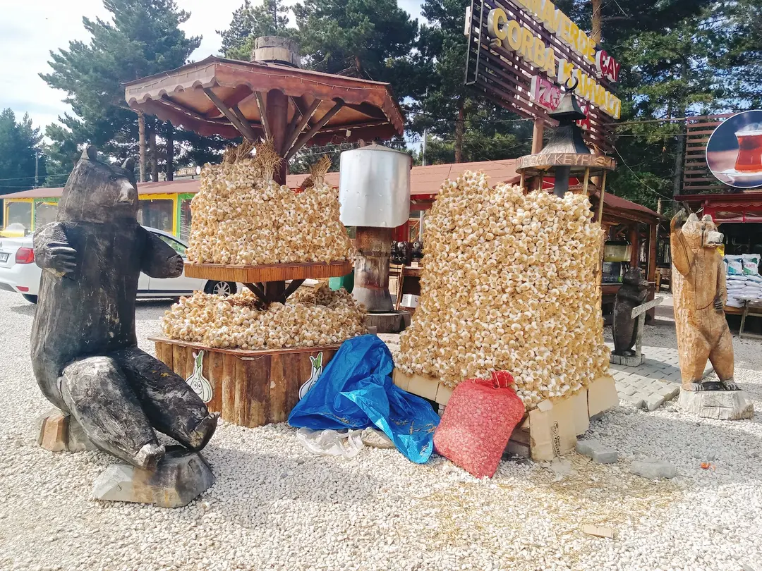 Kadıdağı Nature Camp — Kastamonu — küçük resim 7