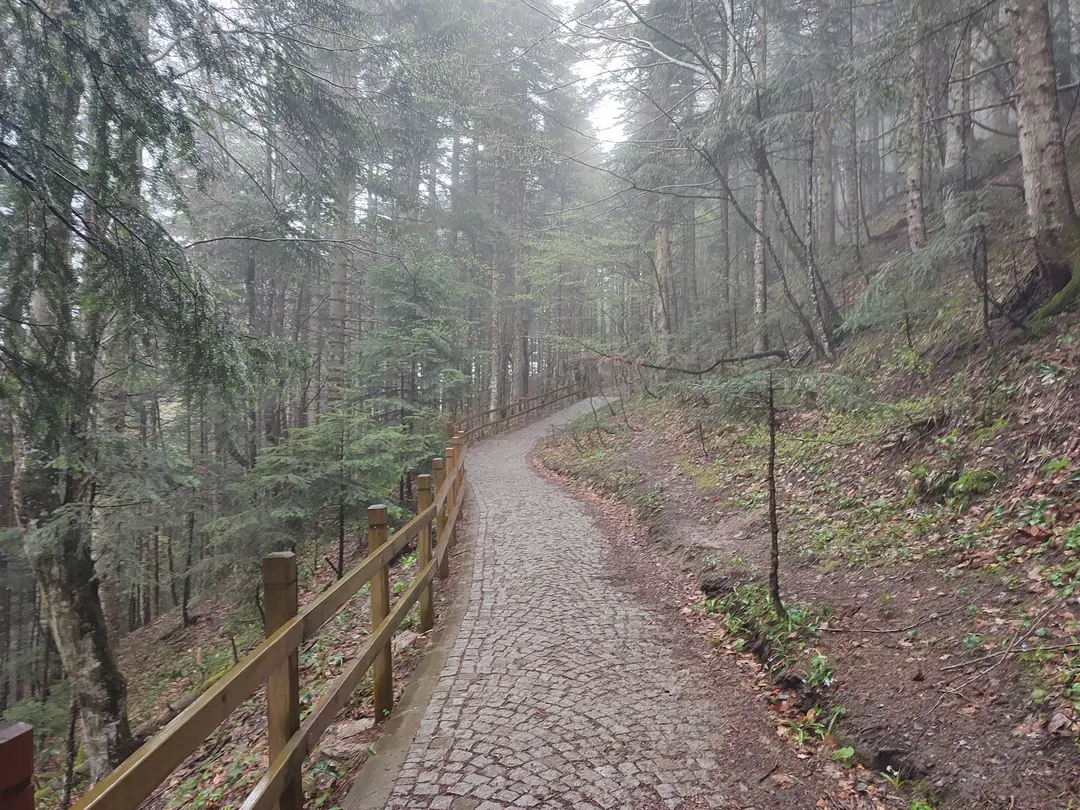 Green Valley — Kastamonu — küçük resim 9