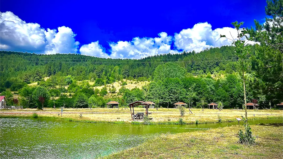 Azdavay Municipality Caravan Park — Kastamonu — küçük resim 4