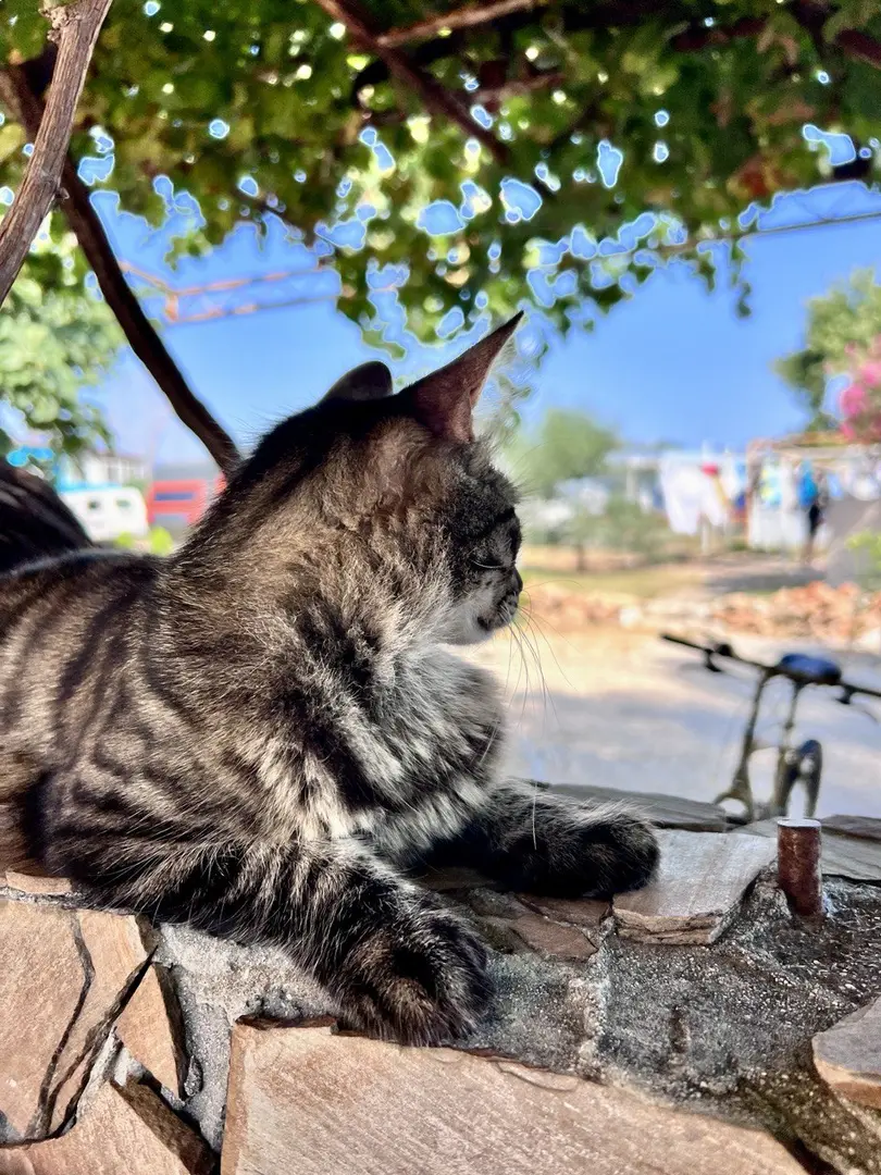 Camp&Hostelnıkapart — Antalya — küçük resim 6