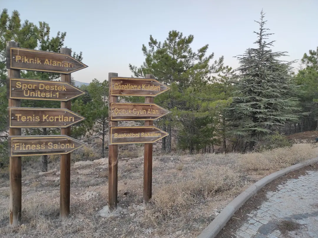 Aşıkpaşa Tabiat Parkı — Kırşehir — küçük resim 6