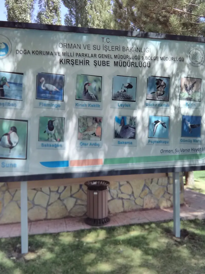 Seyfe Köyü Picnic Area — Kırşehir — küçük resim 9