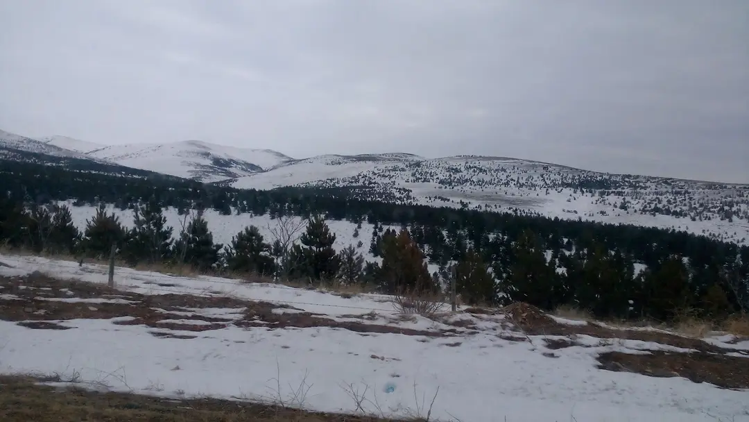 77th Year Finance Forest — Kırşehir — küçük resim 5