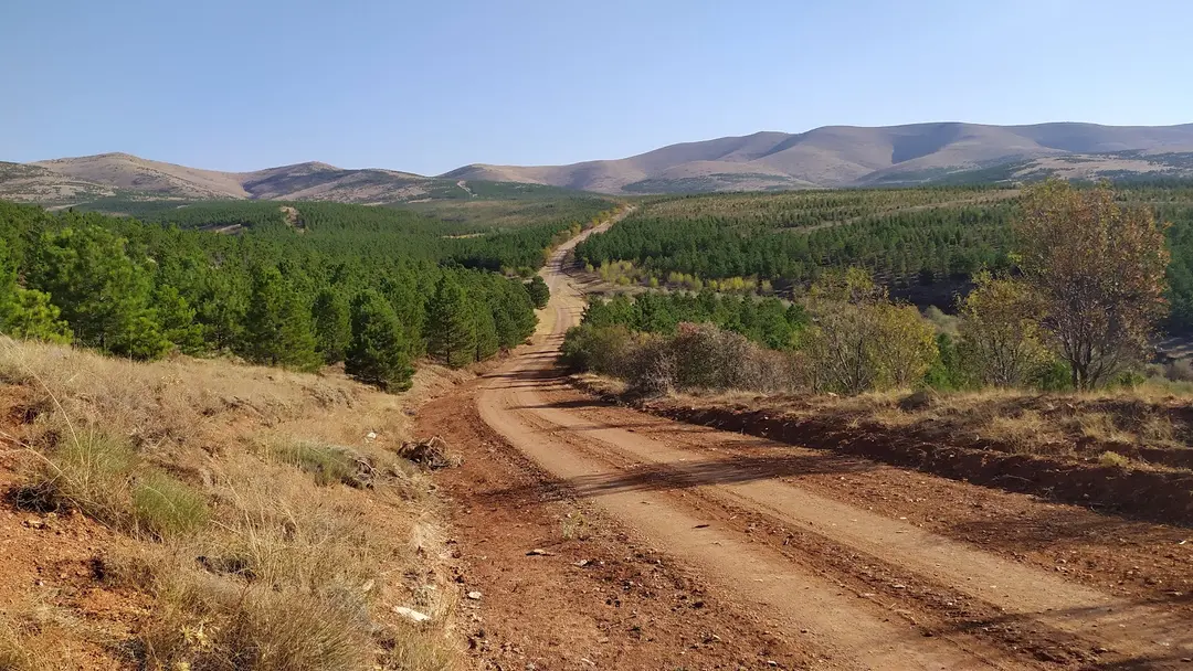 77th Year Finance Forest — Kırşehir — küçük resim 8