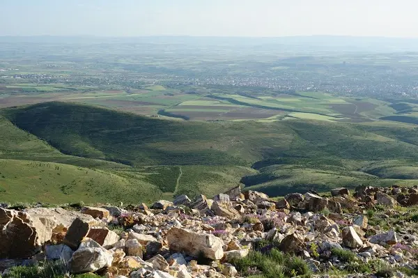 77th Year Finance Forest — Kırşehir — küçük resim 2