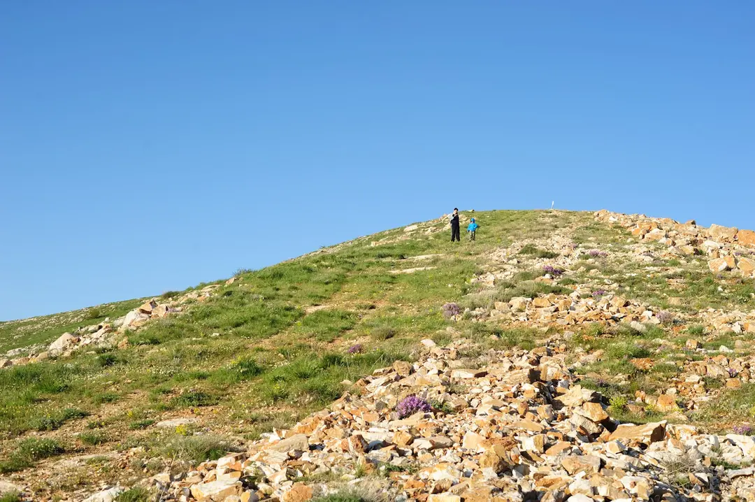 77th Year Finance Forest — Kırşehir — küçük resim 7