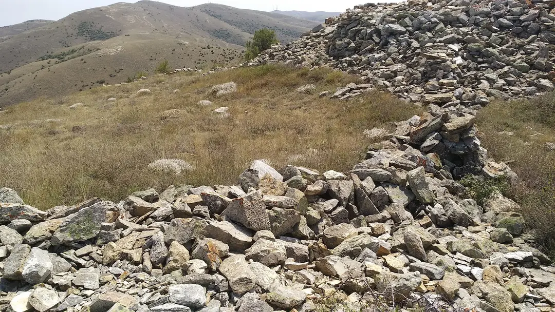 77th Year Finance Forest — Kırşehir — küçük resim 6