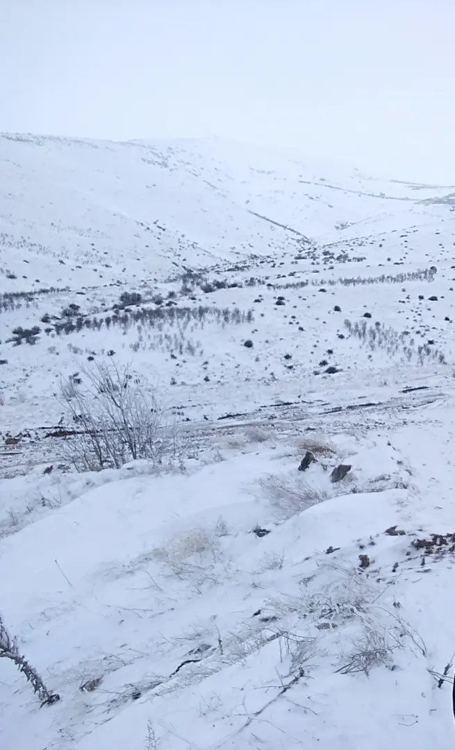 77th Year Finance Forest — Kırşehir — küçük resim 3