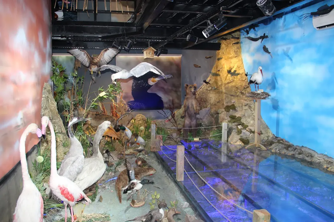 Aşıkpaşa Nature Park and Nature Museum — Kırşehir — küçük resim 3