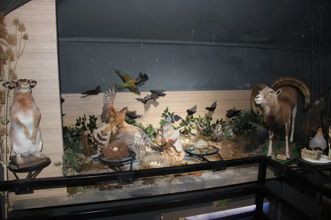 Aşıkpaşa Nature Park and Nature Museum — Kırşehir — küçük resim 6