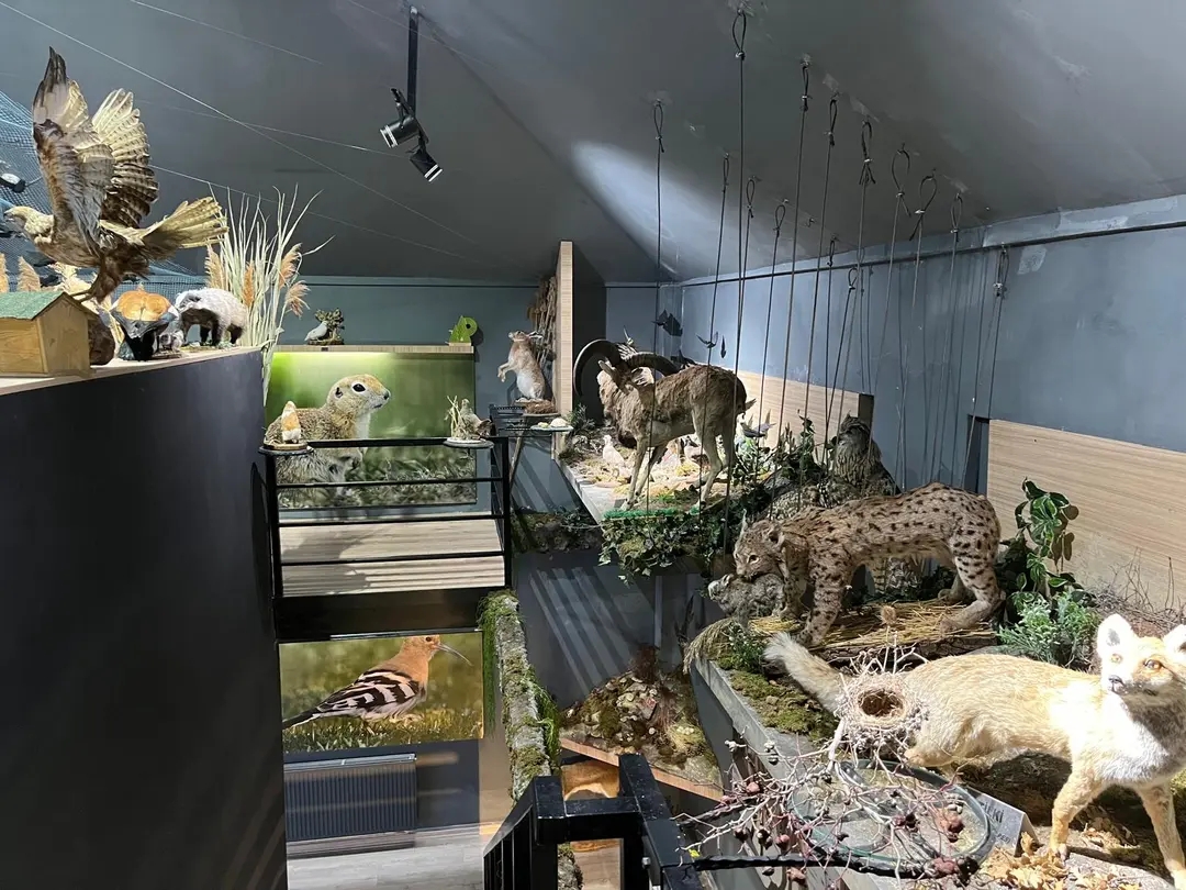 Aşıkpaşa Nature Park and Nature Museum — Kırşehir — küçük resim 2