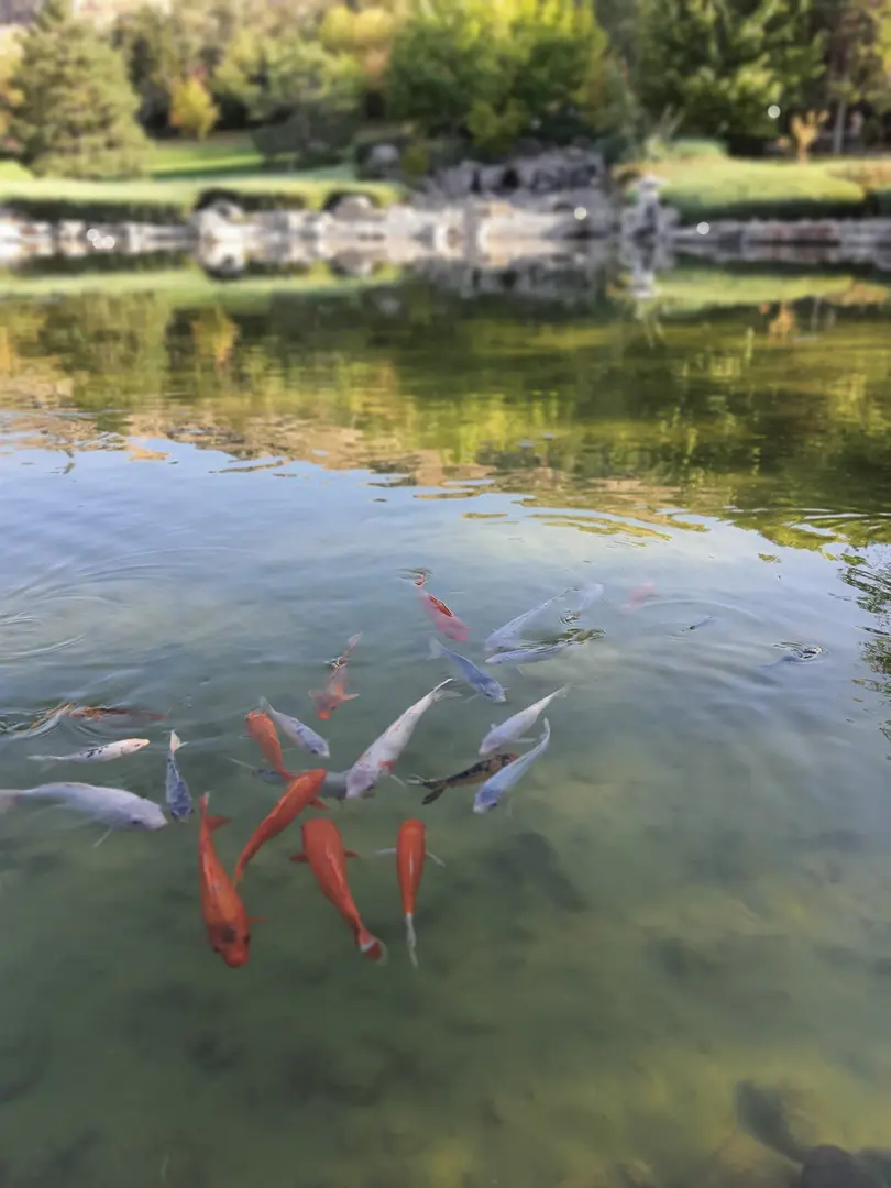 Japon Park — Kırşehir — küçük resim 4