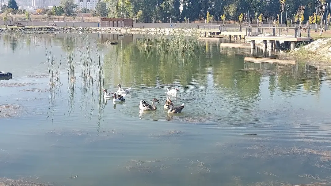 Kütaşya Caravan Park — Kütahya — küçük resim 8