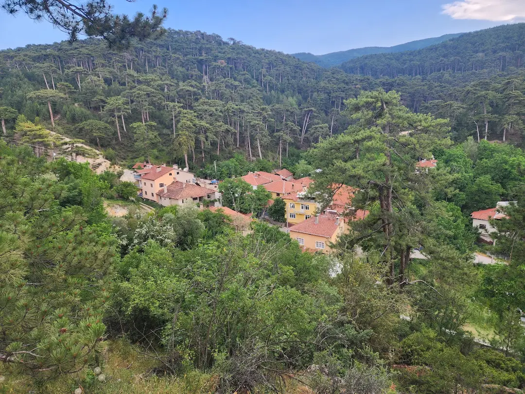 Kütahya Çamlıca Camping Area — Kütahya — küçük resim 6