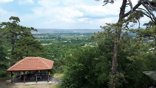 Kütahya Çamlıca Camping Area — Kütahya — küçük resim 5