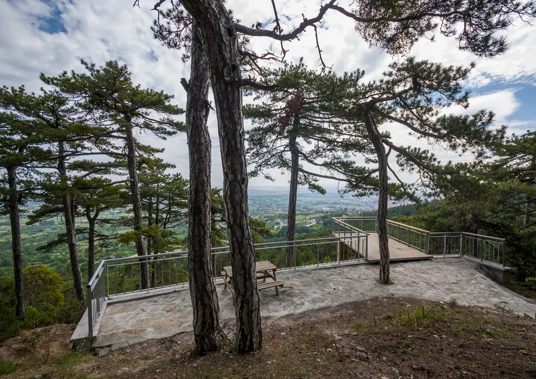 Kütahya Çamlıca Camping Area — Kütahya — küçük resim 4