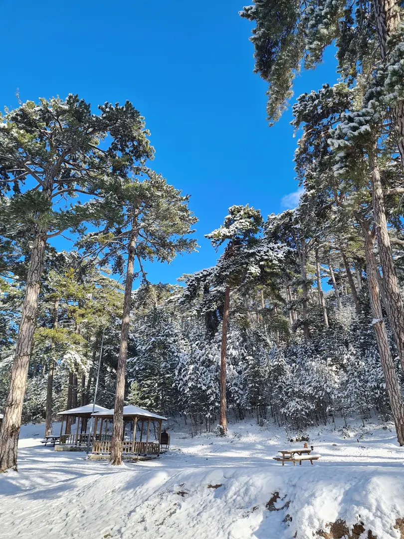 Kütahya Çamlıca Camping Area — Kütahya — küçük resim 7