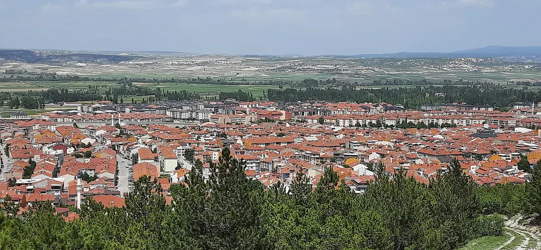 Kütaşya City Forest Picnic Area and Hiking Trails — Kütahya — küçük resim 8