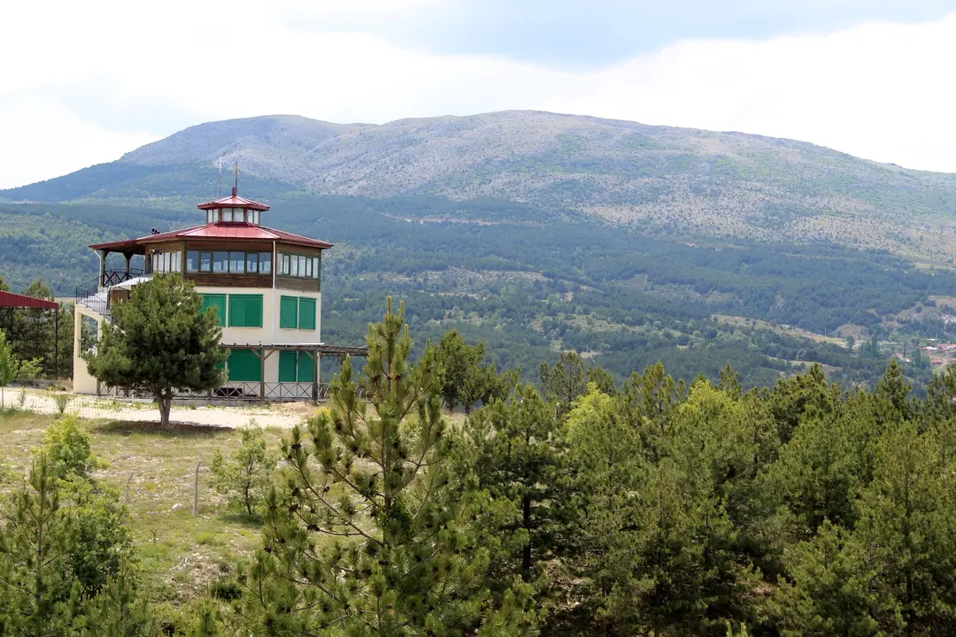 Kütaşya City Forest Picnic Area and Hiking Trails — Kütahya — küçük resim 9