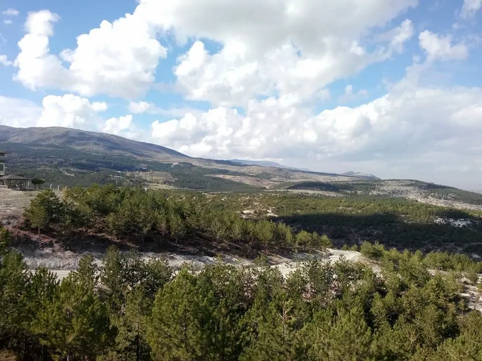 Kütaşya City Forest Picnic Area and Hiking Trails — Kütahya — küçük resim 6