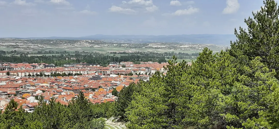 Kütaşya City Forest Picnic Area and Hiking Trails — Kütahya — küçük resim 5