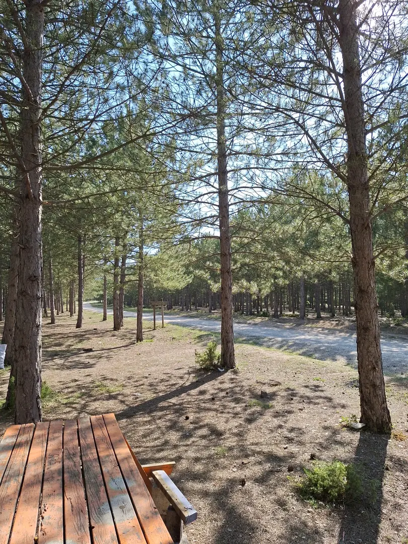 Kütaşya City Forest Picnic Area and Hiking Trails — Kütahya — küçük resim 3