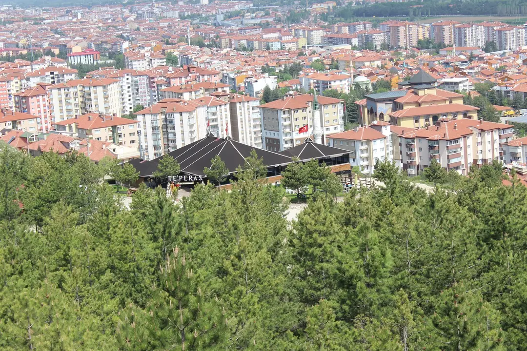 BOZAT PARK ORMAN — Kütahya — küçük resim 3