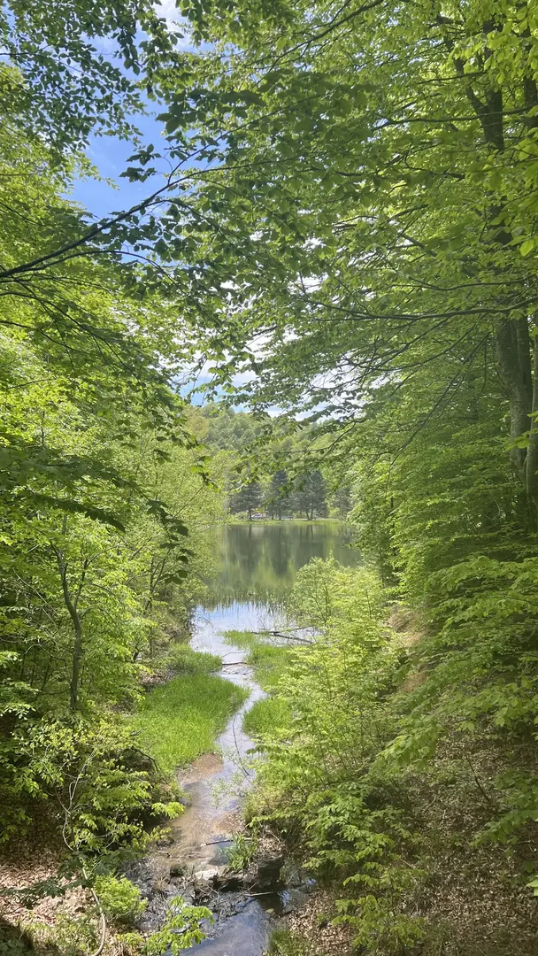 Topuk Yaylası Naturpark — Kütahya — küçük resim 4