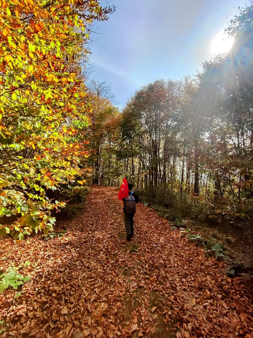 Topuk Yaylası Naturpark — Kütahya — küçük resim 8