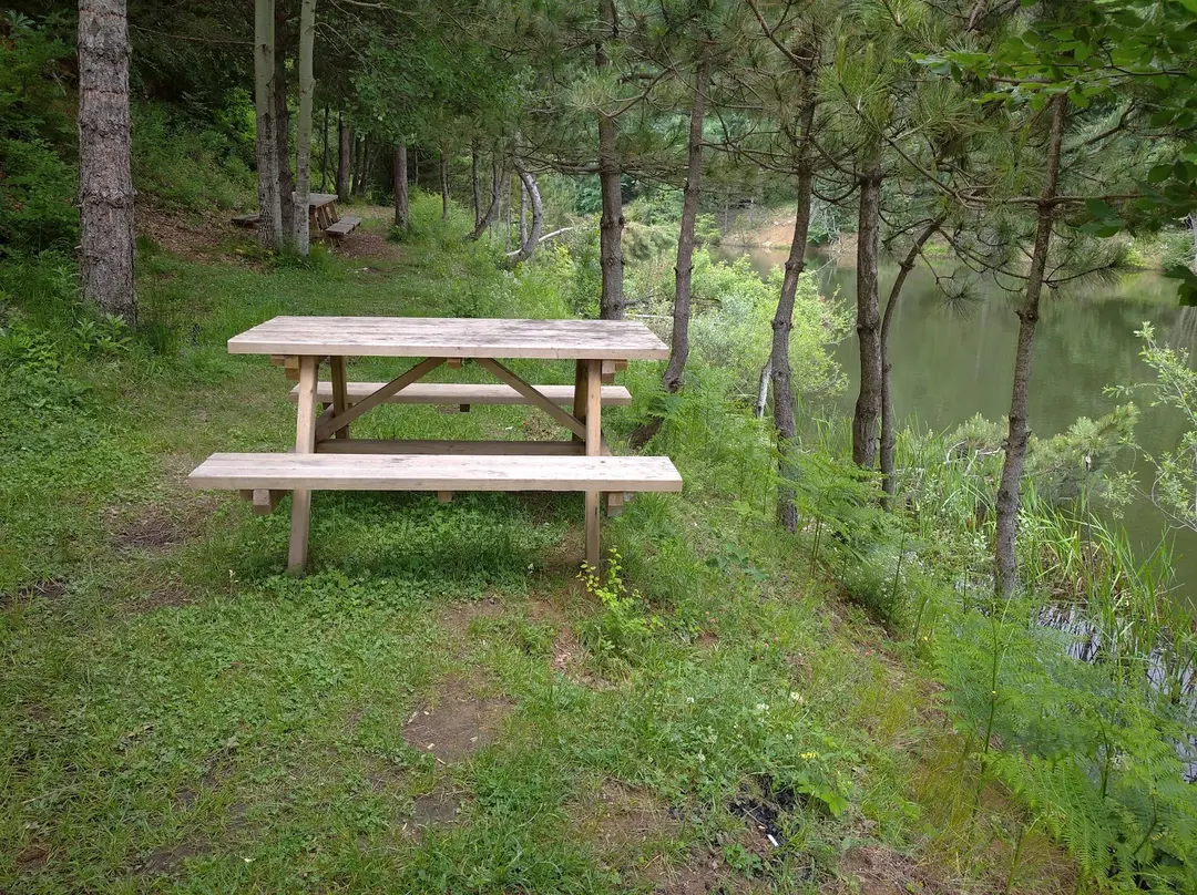 Topuk Yaylası Naturpark — Kütahya — küçük resim 10