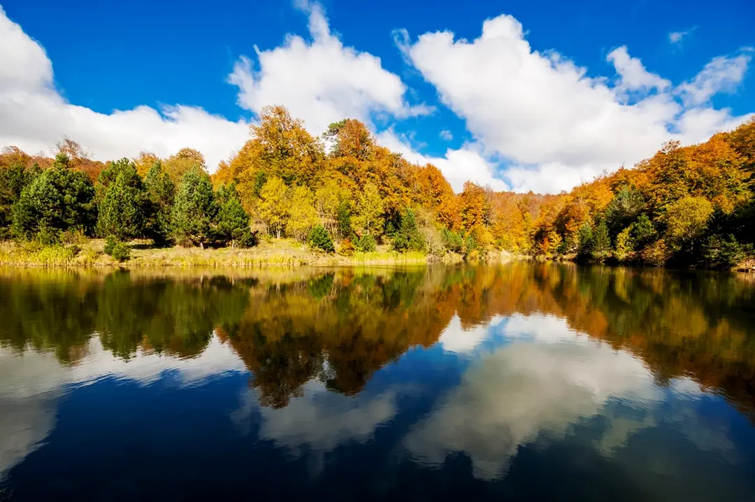 Topuk Yaylası Naturpark — Kütahya — küçük resim 2