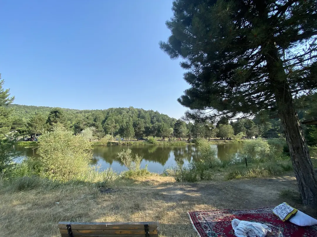 Topuk Yaylası Naturpark — Kütahya — küçük resim 7