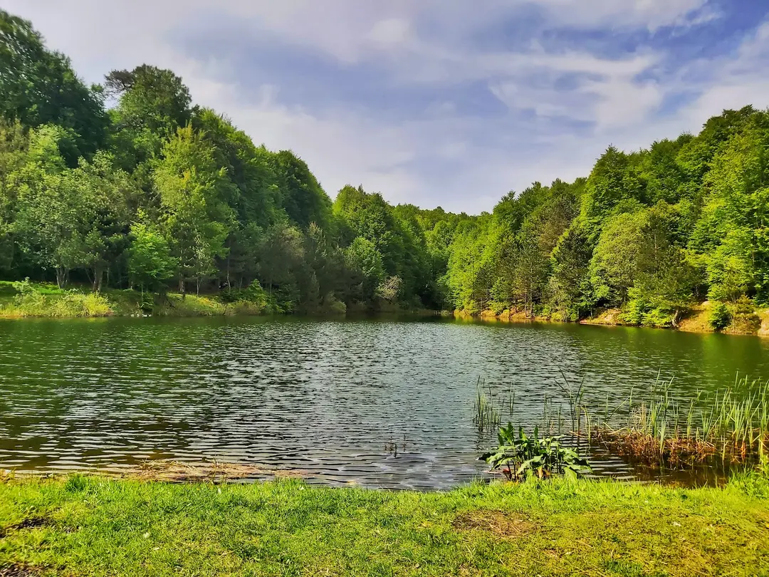 Topuk Yaylası Naturpark — Kütahya — fotoğraf 1