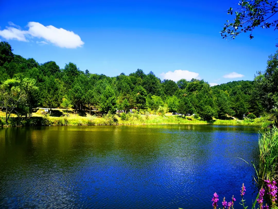 Topuk Yaylası Naturpark — Kütahya — küçük resim 6