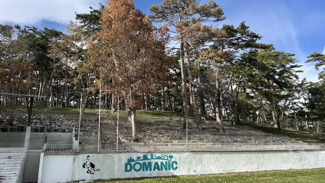 Domaniç Ebe Çamlığı Kent Ormanı — Kütahya — küçük resim 3
