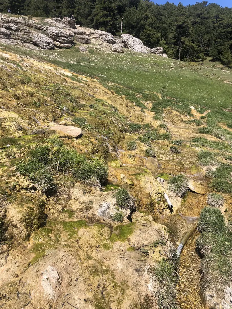 Mustafalar Yaylasi — Kütahya — küçük resim 3