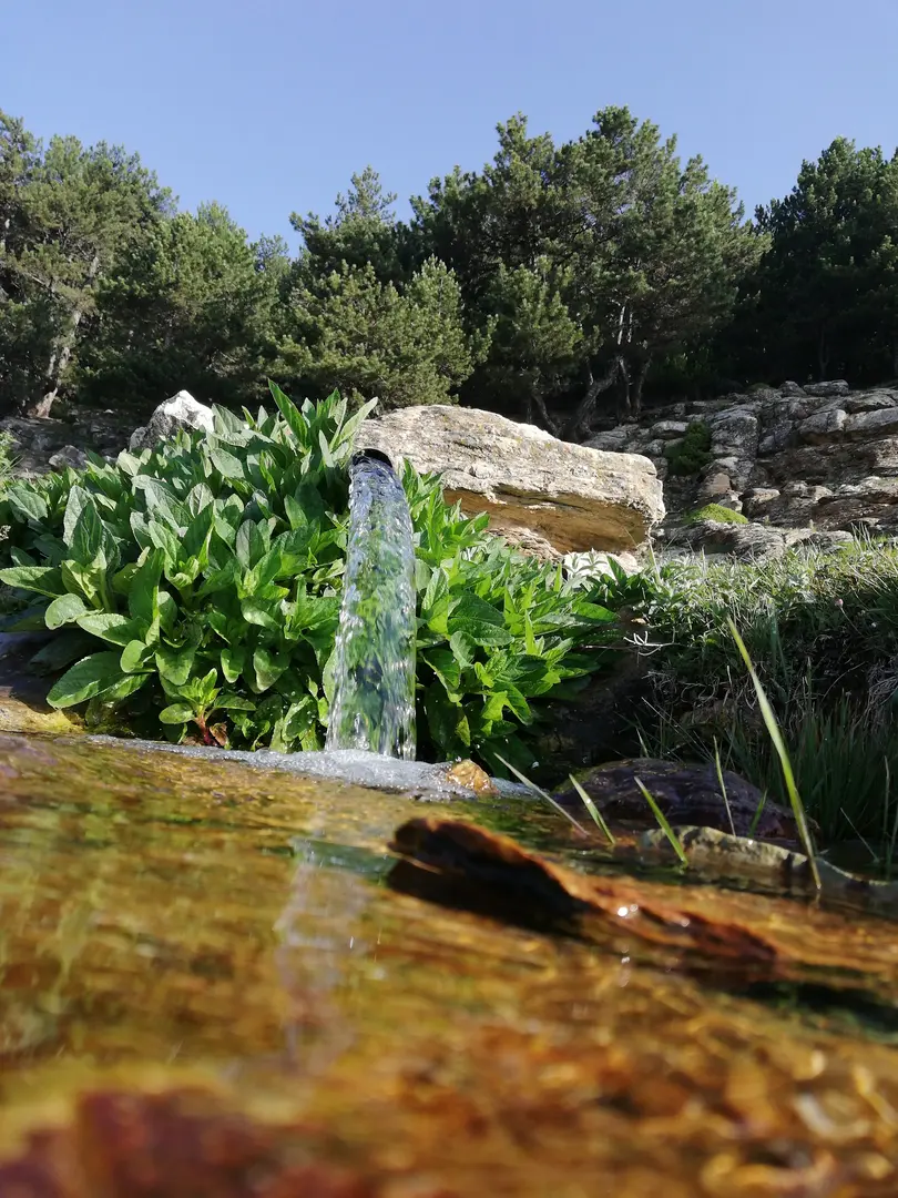 Mustafalar Yaylasi — Kütahya — küçük resim 9