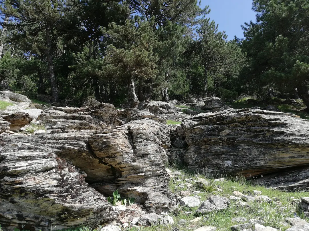 Mustafalar Yaylasi — Kütahya — küçük resim 10