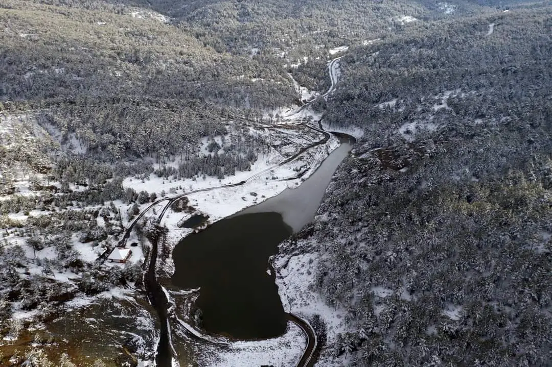 Yaylacık Forest — Kütahya — küçük resim 5