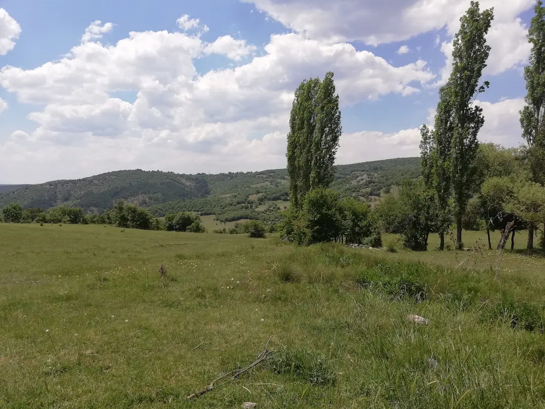 Yaylacık Forest — Kütahya — küçük resim 7