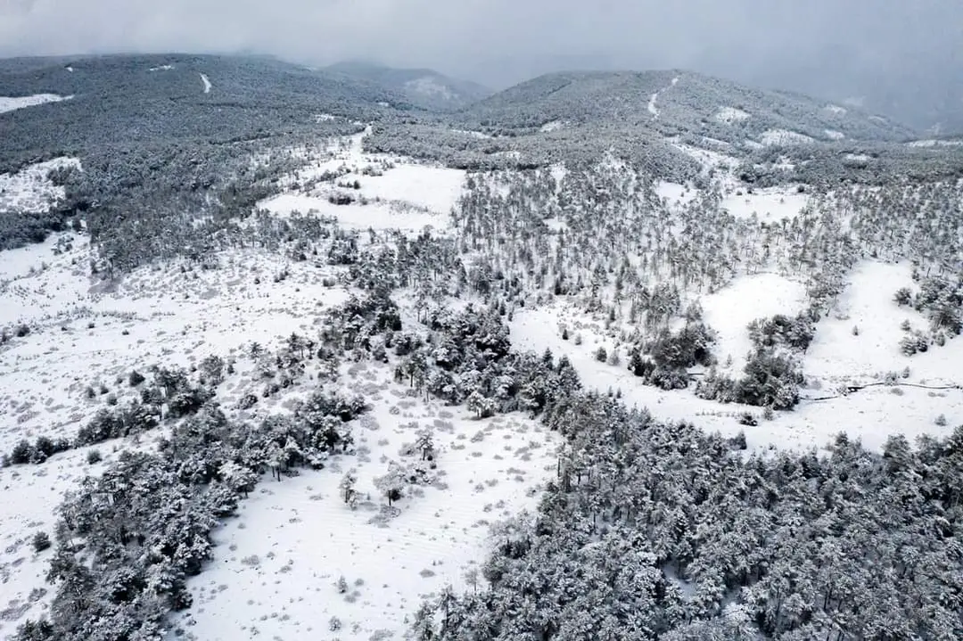 Yaylacık Forest — Kütahya — küçük resim 2