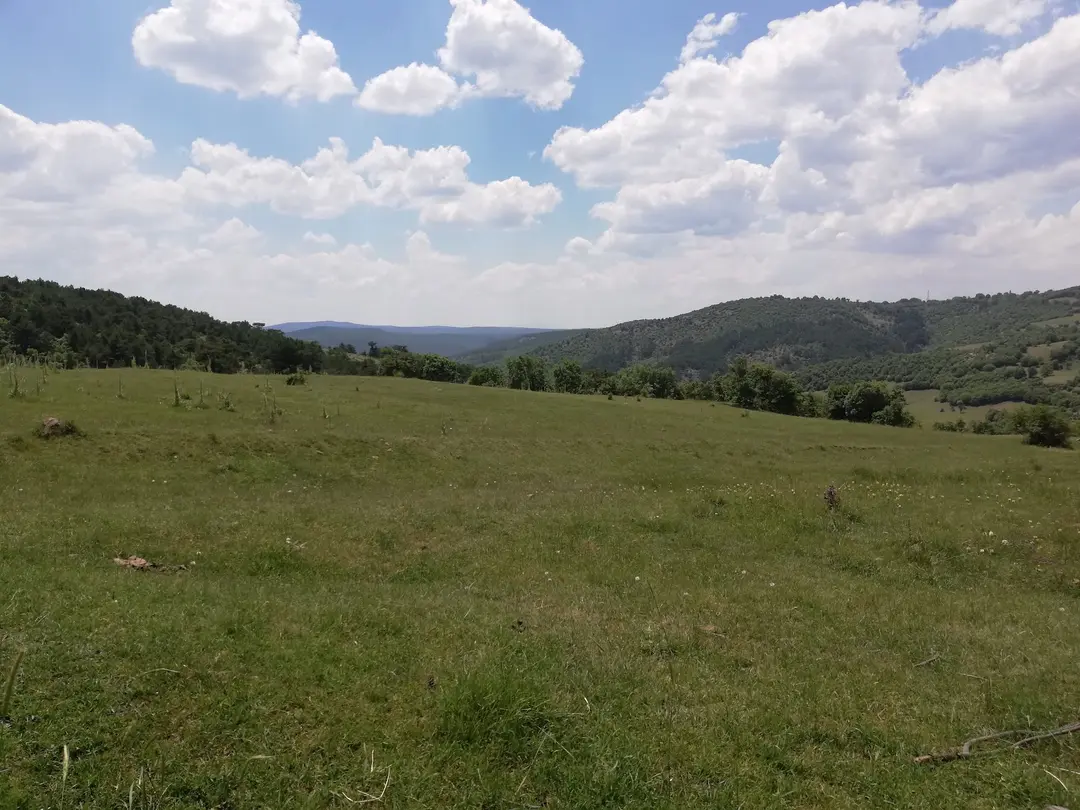 Tavşanlı