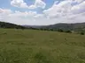 Yaylacık Ormanı