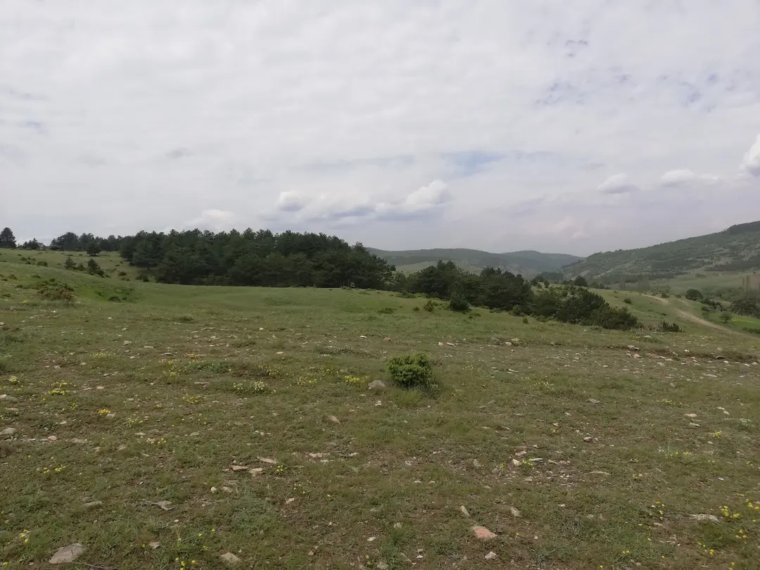 Yaylacık Forest — Kütahya — küçük resim 8