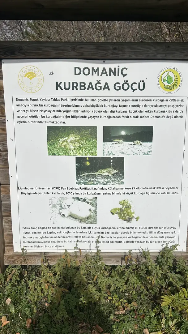 Palazoglu Lake — Kütahya — küçük resim 8