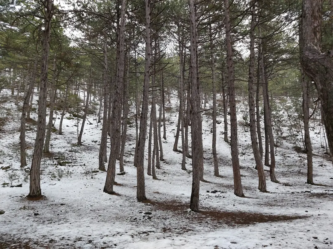 Şelale Mesire Yeri — Eskişehir — küçük resim 8